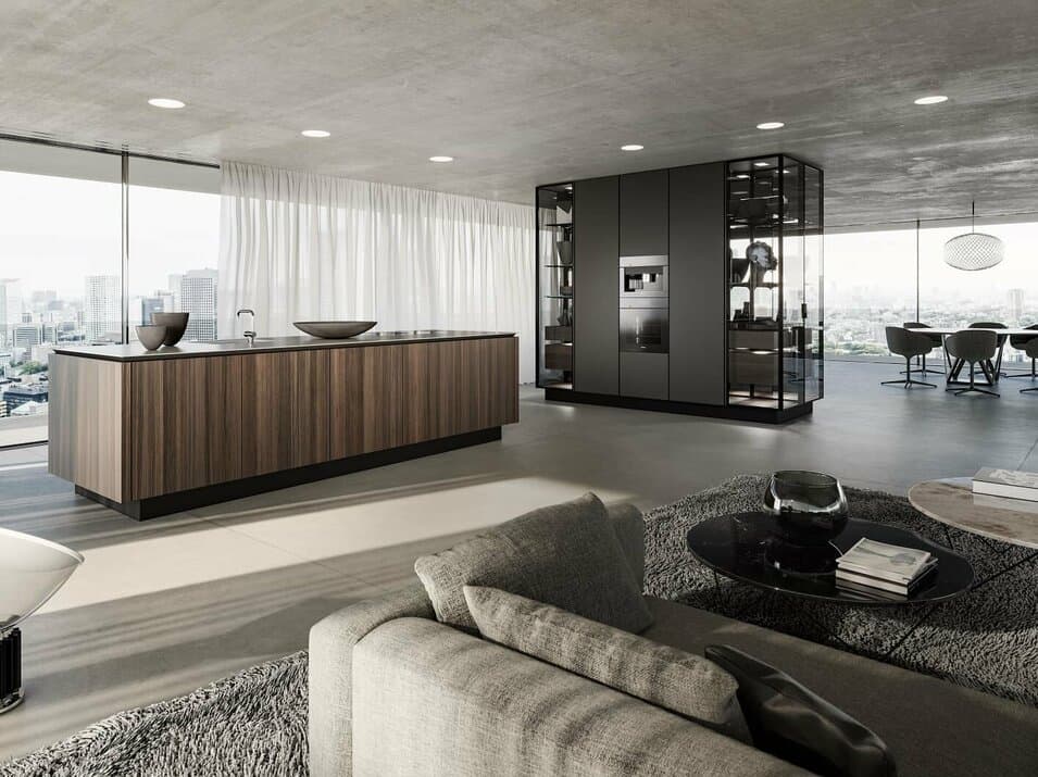 SieMaticSLX kitchen ,living room
