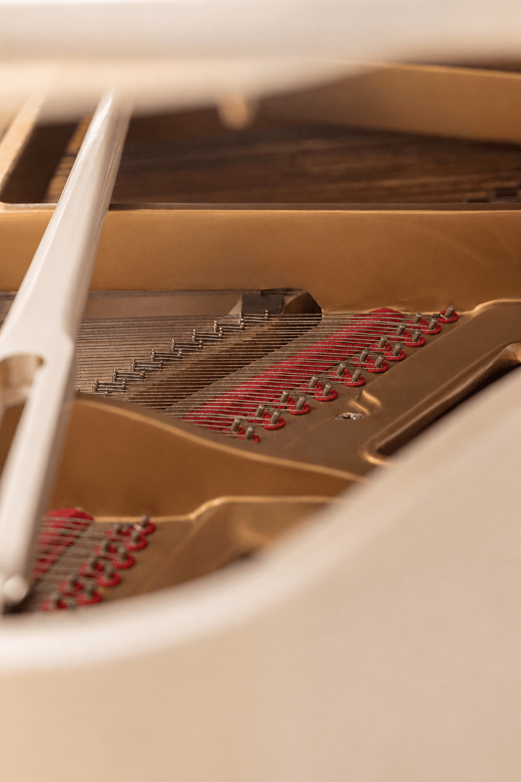 Foto snaren piano